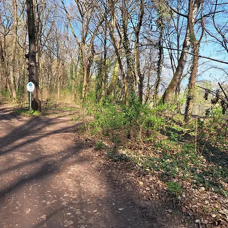 Lejlighed Dunaparti Timar *