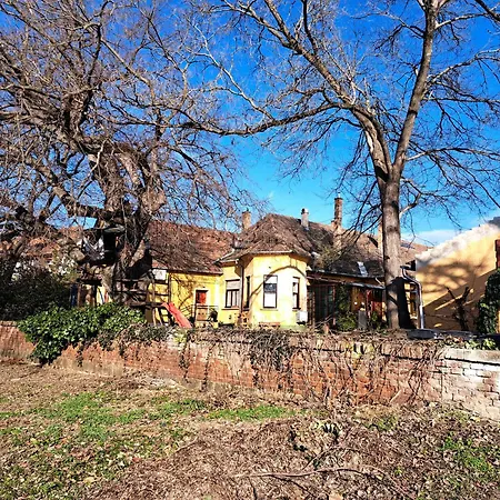 Dunaparti Timar * Vác